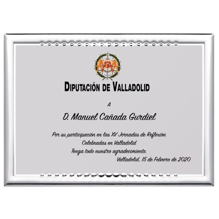 SOLO PLACA. 18 x 13 CM [M61, M12,M141,M82,M51-E46] (GPC2015+)