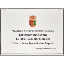 SOLO PLACA. 18 x 13 CM [M61, M12,M141,M82,M51-E46] (GPC2015+)