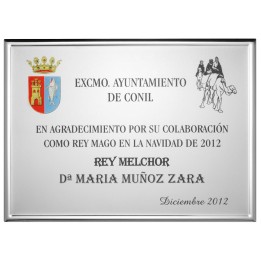 SOLO PLACA. 18 x 13 CM [M61, M12,M141,M82,M51-E46] (GPC2015+)