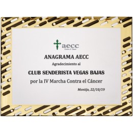SOLO PLACA. 18 x 13 CM [M61, M12,M141,M82,M51-E46] (GPC2015+)
