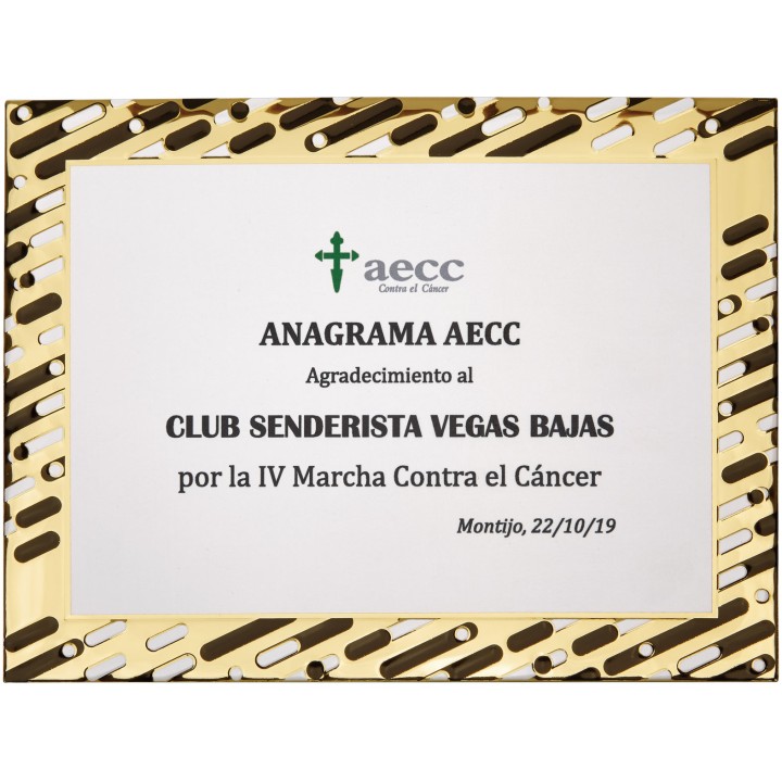 SOLO PLACA. 18 x 13 CM [M61, M12,M141,M82,M51-E46] (GPC2015+)