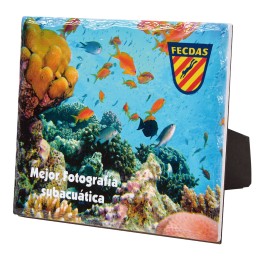 CERAMICA ESP. SUBLIMACIÓN 20 x 17 CM (E46,P1) (S4)